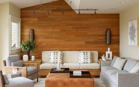 img_galeria_akolor_4_egofoum_new